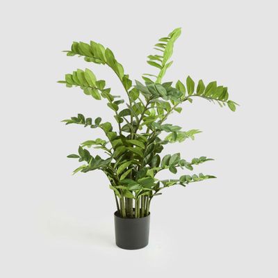 Real Touch Zanzibar 75cm