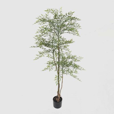 Green Nandina Tree 170cm