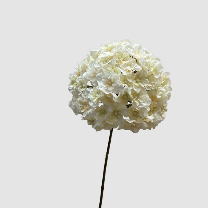 Hydrangea White 74cm