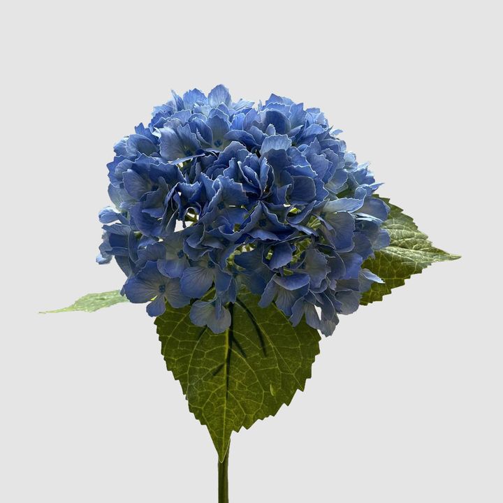 Hydrangea Real Touch Blue 63cm