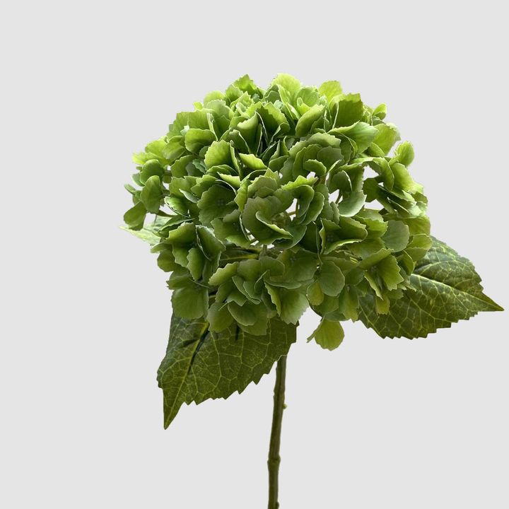 Hydrangea Real Touch Green 63cm