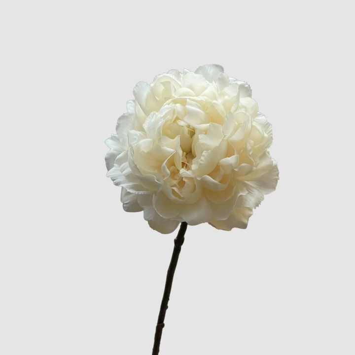 Peony White 64cm