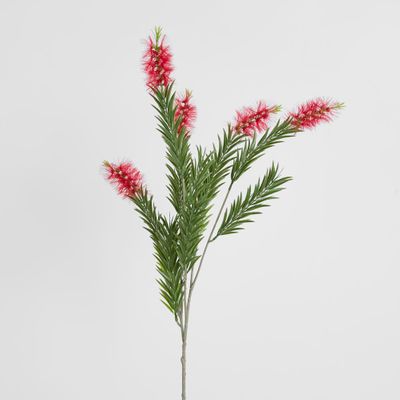 Bottlebrush Spray 100cm