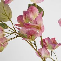 Bougainvillea Spray 97cm Pink