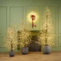 Black Forest Light Up Tree with 900 Lights 150cm