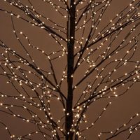Black Forest Light Up Tree with 900 Lights 150cm