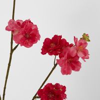 Blossom Spray Pink 84cm
