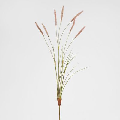 Foxtail grass Spray Pink