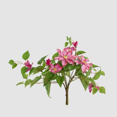 UV Trailing Clematis Bush Fuchsia