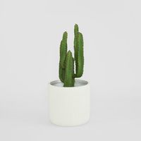 Desert Cactus 82cm