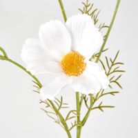 Coco 3 Heads Cosmo 50cm White