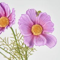 Coco 3 Heads Cosmo 50cm Purple & Pink