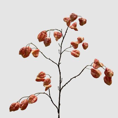 Chinese Lantern Pink 114cm