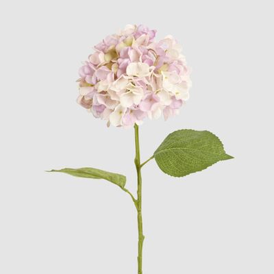 Claire Hydrangea Stem Pink