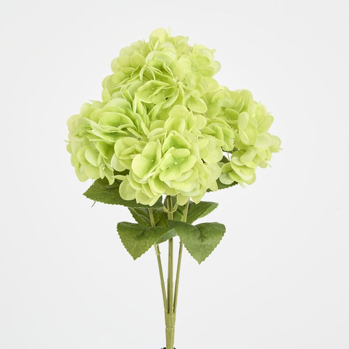 Fresh Touch Hydrangea Bunch Green