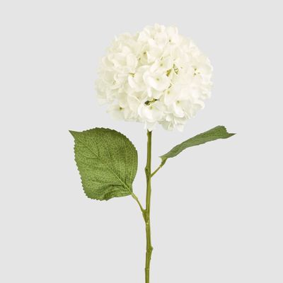 Claire Hydrangea Stem White