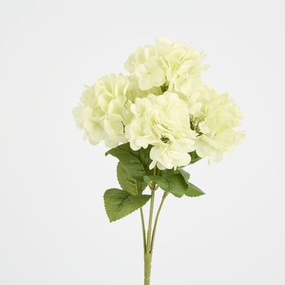 Fresh Touch Hydrangea Bunch White
