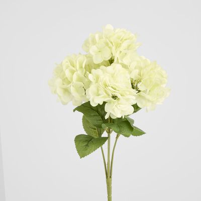 Fresh Touch Hydrangea Bunch White