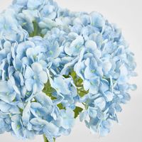 Mini Hydrangea Posy Blue