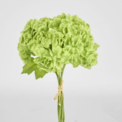 Mini Hydrangea Posy Green