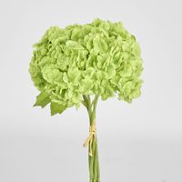 Mini Hydrangea Posy Green