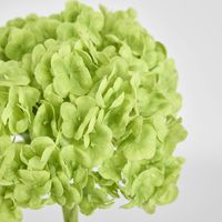 Mini Hydrangea Posy Green