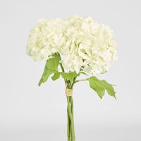 Mini Hydrangea Posy White