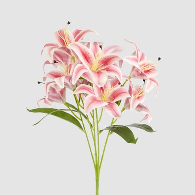 Casablanca Lily Bunch Pink