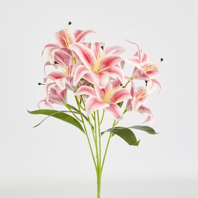 Casablanca Lily Bunch Pink