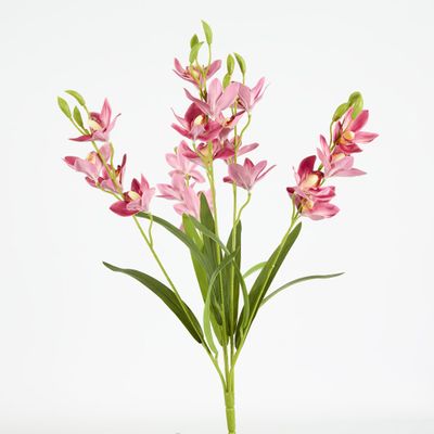 Cymbidium Spray With Leaves Dark Pink