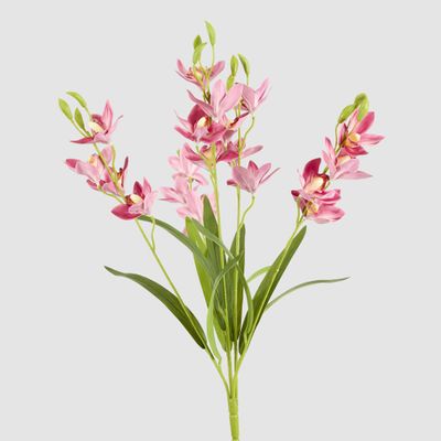 Cymbidium Spray With Leaves Dark Pink