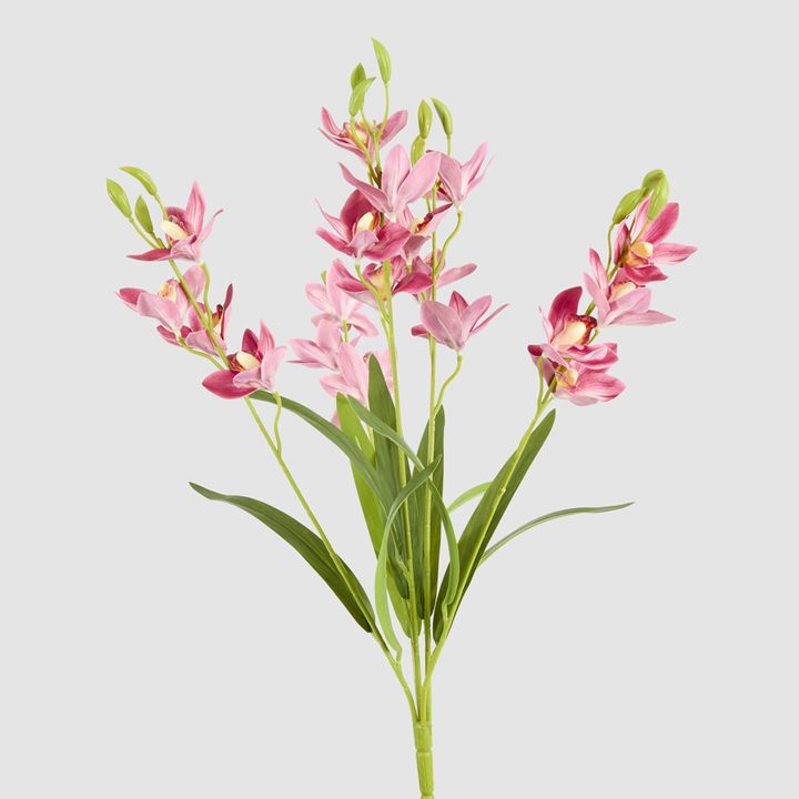 Cymbidium Spray With Leaves Dark Pink
