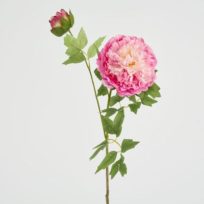 Leafy Peony Flower Stem Fuchsia
