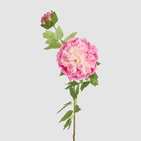 Leafy Peony Flower Stem Fuchsia