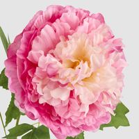 Leafy Peony Flower Stem Fuchsia