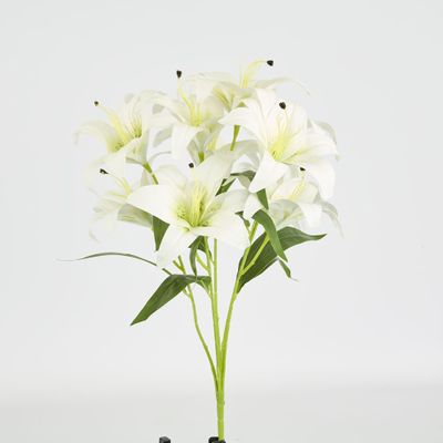 Casablanca Lily Bunch White
