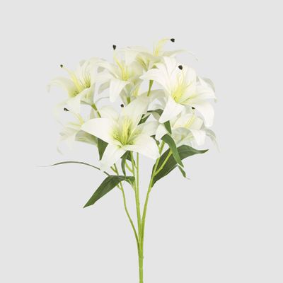 Casablanca Lily Bunch White