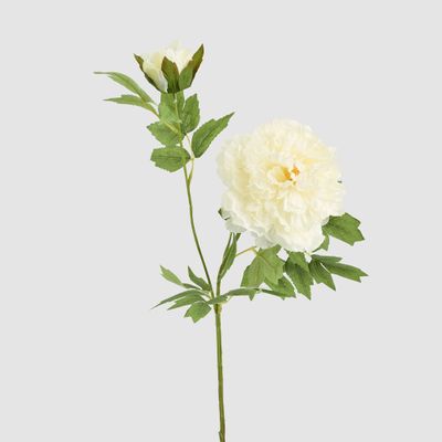 Leafy Peony Flower Stem White
