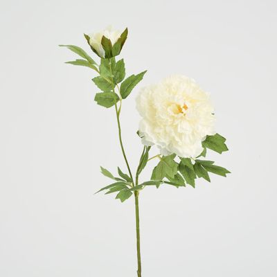 Leafy Peony Flower Stem White