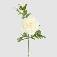 Leafy Peony Flower Stem White