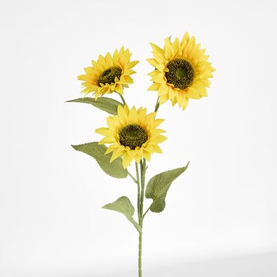 Sunflower Stem With 3 Heads