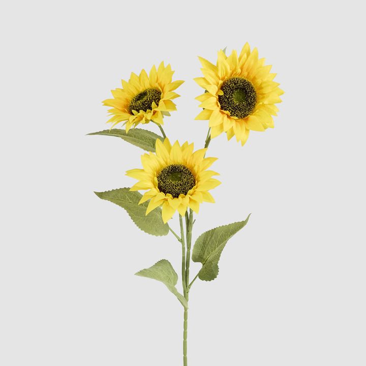 Sunflower Stem With 3 Heads