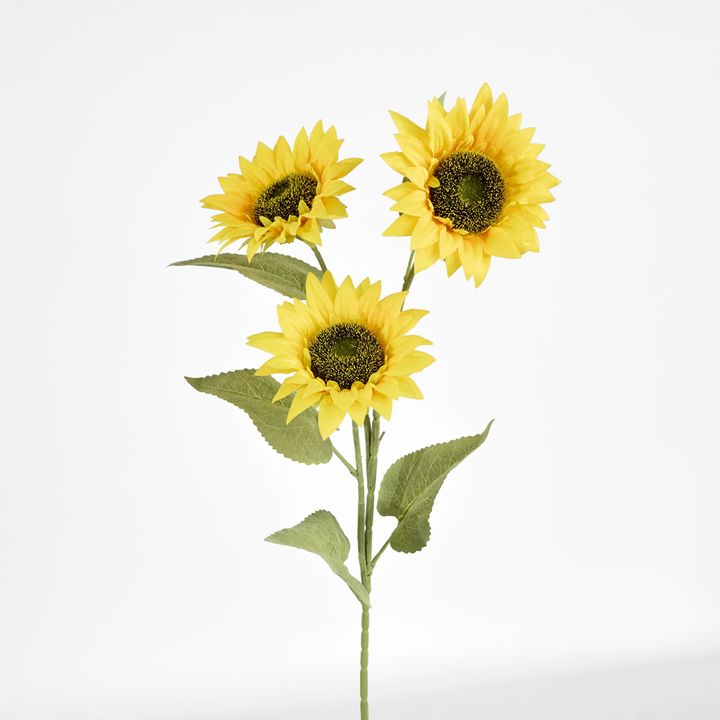 Sunflower Stem With 3 Heads