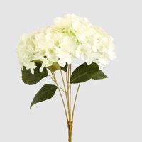Hydrangea Bunch With 5 Heads White
