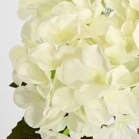 Hydrangea Bunch With 5 Heads White
