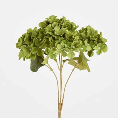 Hydrangea Bunch With 5 Heads Green