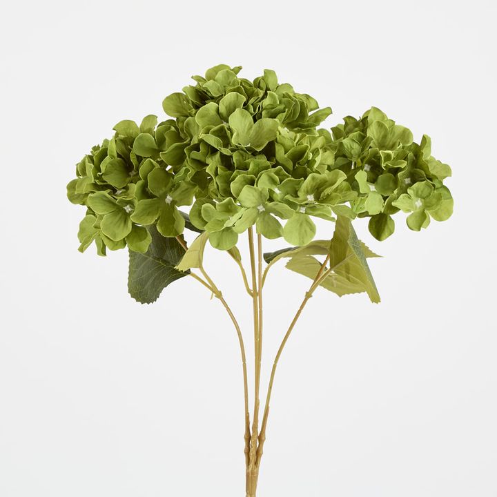 Hydrangea Bunch With 5 Heads Green