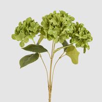Hydrangea Bunch With 5 Heads Green