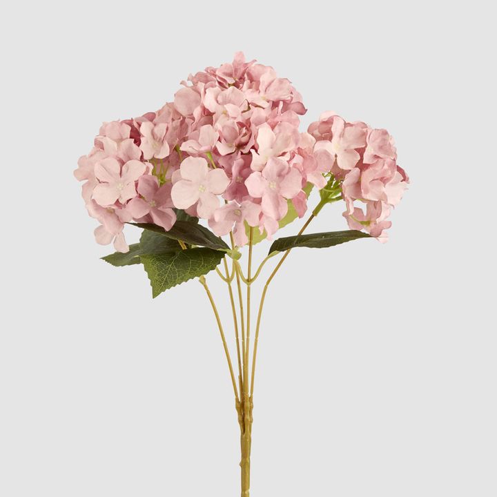 Hydrangea Bunch With 5 Heads Pink