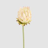 Protea Stem 60cm Light Pink